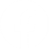 White Facebook icon