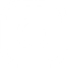White Instagram icon